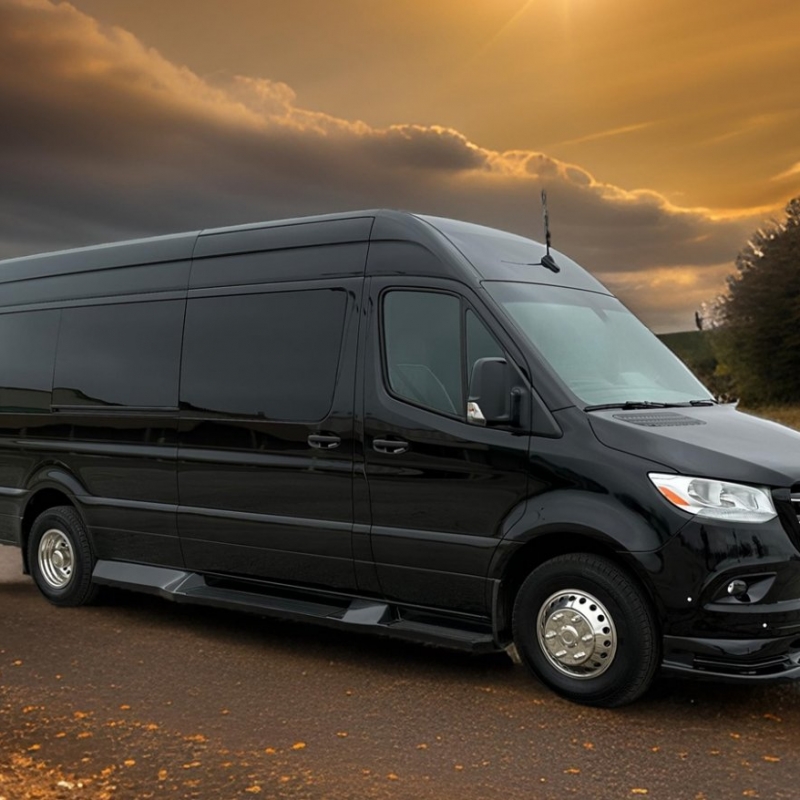 Luxury VIP Sprinter
